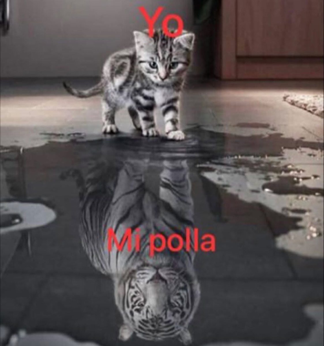 No tengo pruebas pero tampoco dudas xd