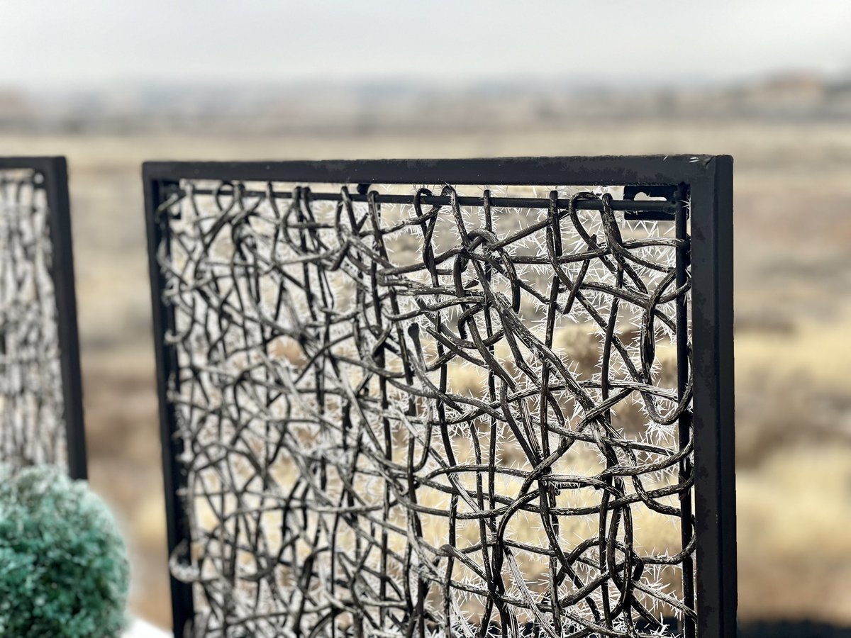 maximelista1's tweet image. Finding joy in the little things in life! The frost when I got up, this morning 🖤 

#Colorado #januarygreetings
