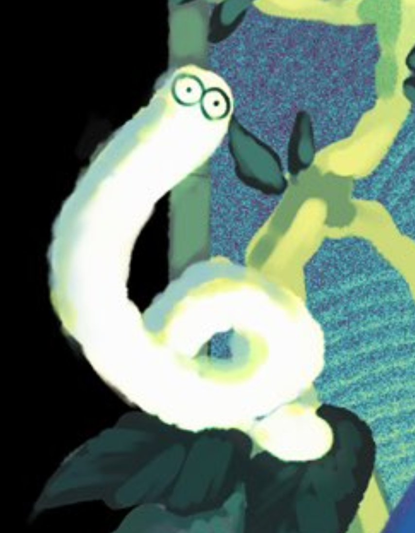 𝐍𝐢𝐜𝐨☀️ tweet media