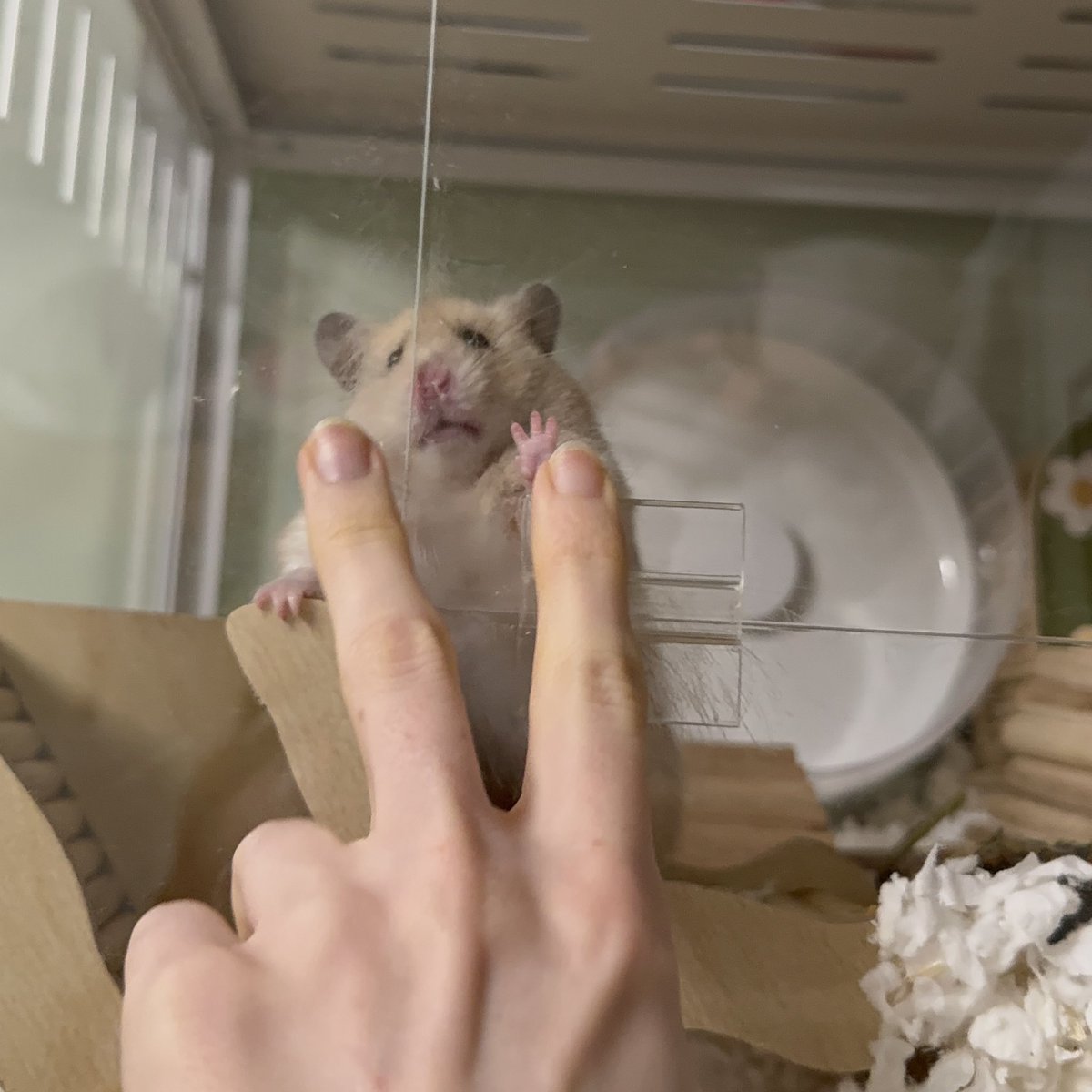 KatDestination's tweet image. Sunny is kinda weird 🤣