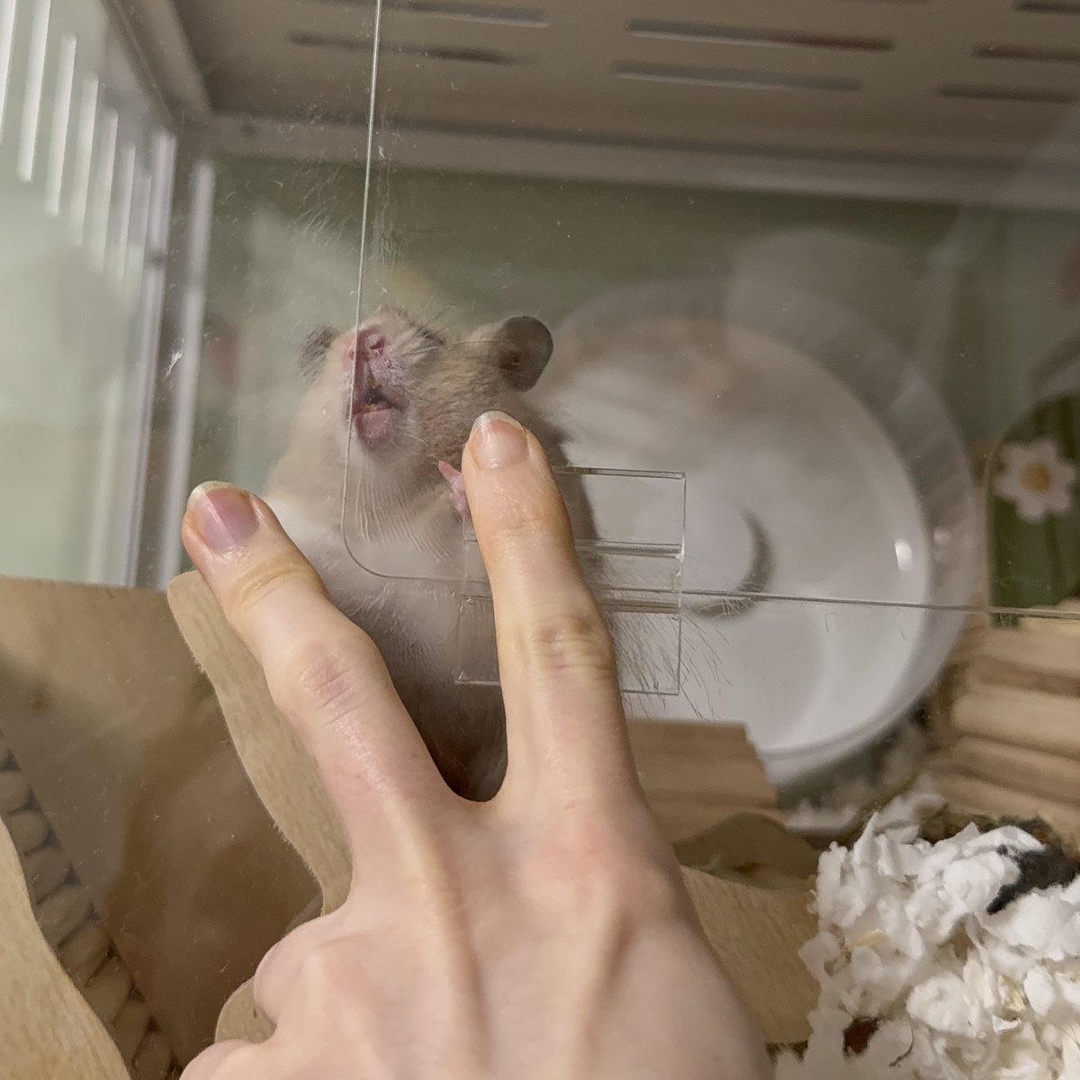 KatDestination's tweet image. Sunny is kinda weird 🤣