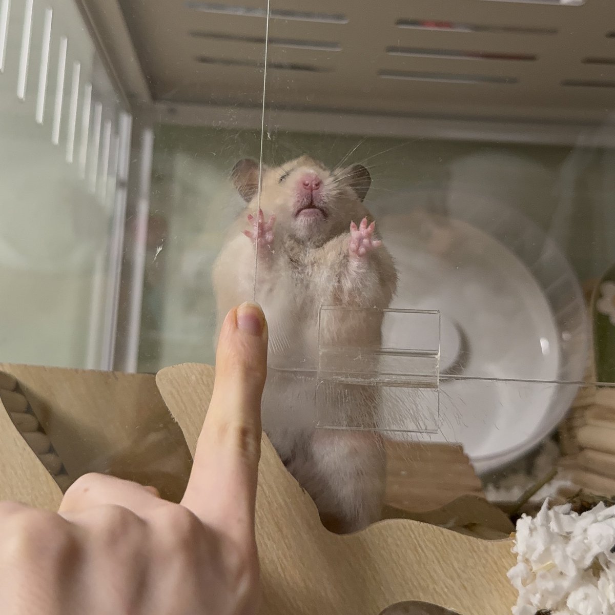 KatDestination's tweet image. Sunny is kinda weird 🤣