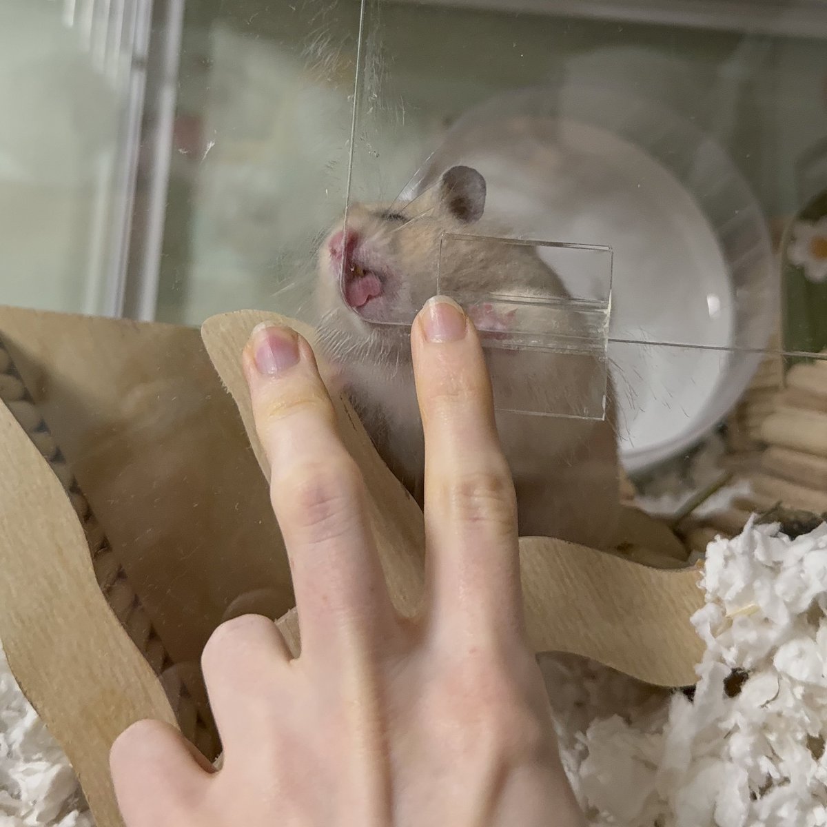 KatDestination's tweet image. Sunny is kinda weird 🤣