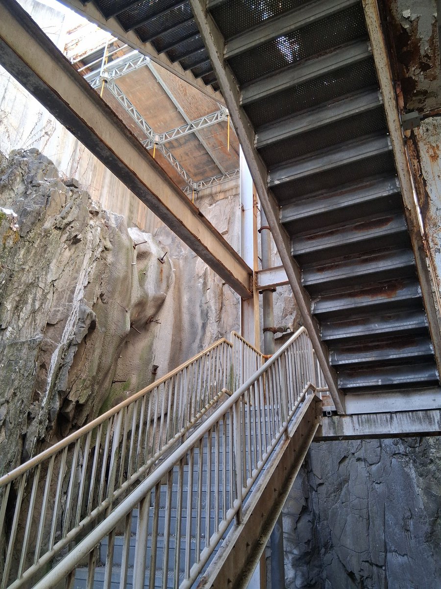 Lee Andrew Forman tweet media