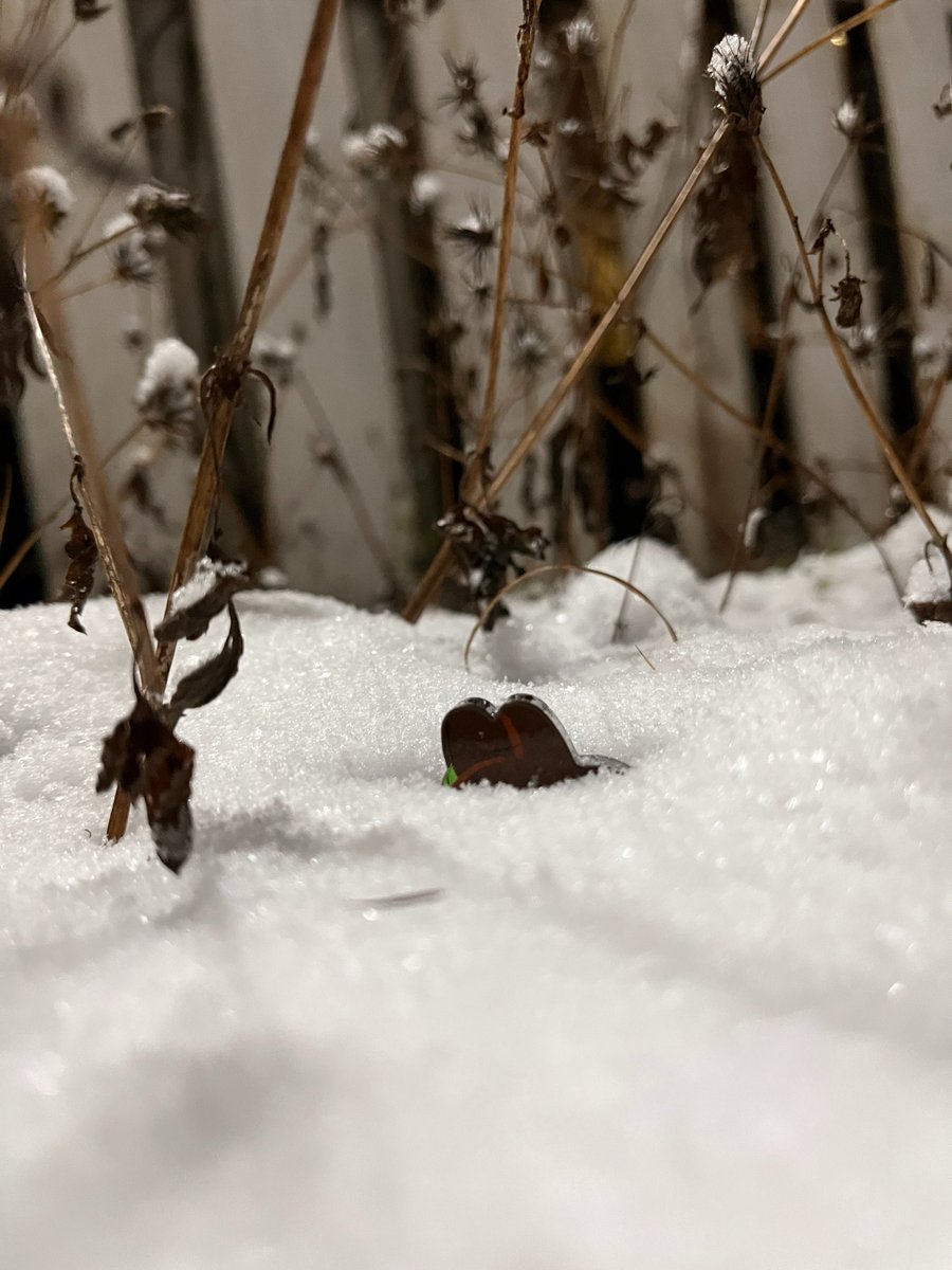 pasta as avatar tweet media