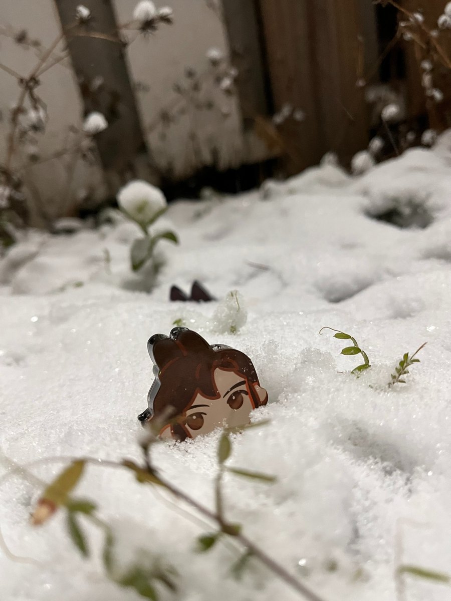 pasta as avatar tweet media