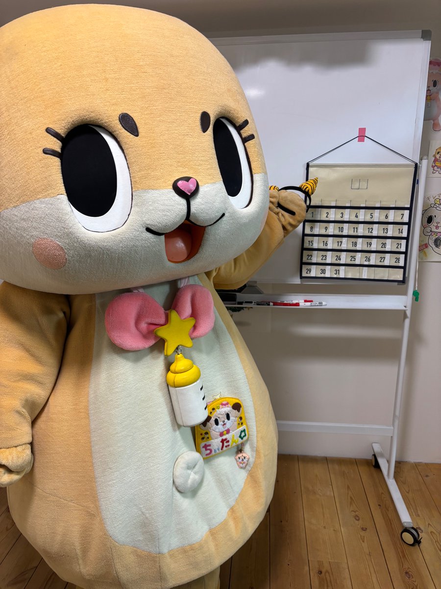 公式：ちぃたん☆大阪 (@Chiitan_Osaka) / Highlights / X