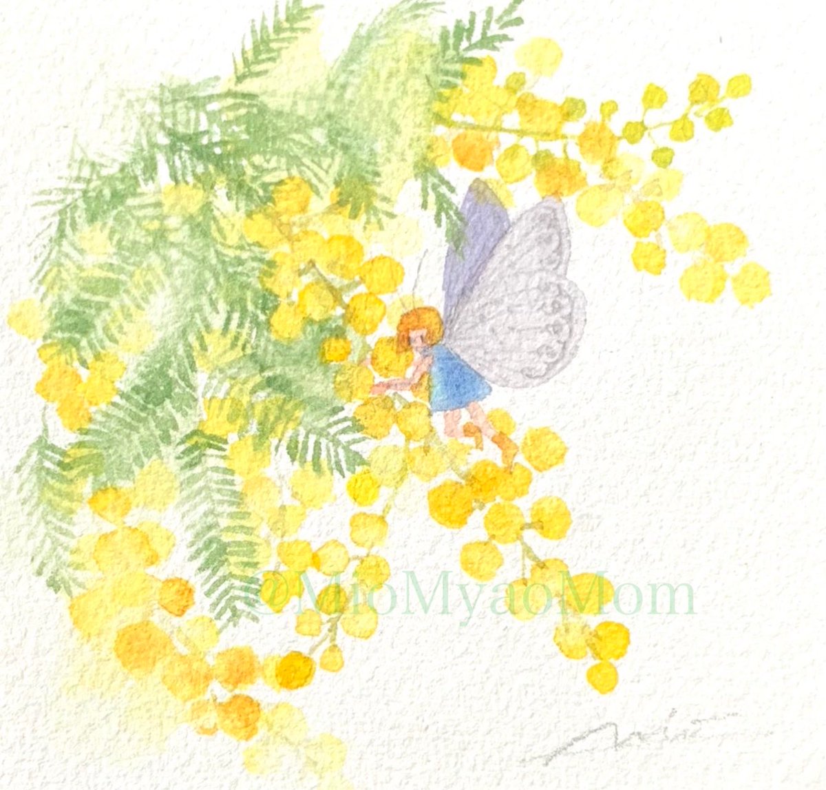 ミモザ #水彩 #mimosa #watercolor #NoWar 今年もお店では見かけるよう