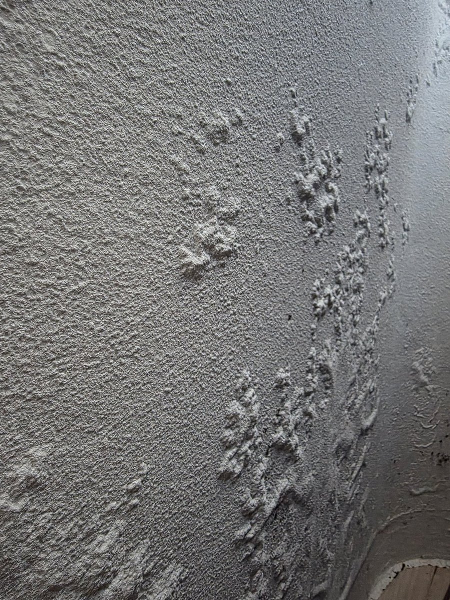 <구축 아파트 끝 집 고르면 안되는 이유/겨울편>

부동산 공부 없이, 
신생아 특례 안놓치려고,
무조건 싸게 사겠다고 덜컥 구매한 집인데

부동산 공부를 하고, 직접 몇 년 살다보니 ,
참 문제점이 많다 .. ㅋㅋ

1. 결로
- 내부 샤시 교체로 내부가 따듯해지니 겨울마다 구축 아파트의 허접한 단열