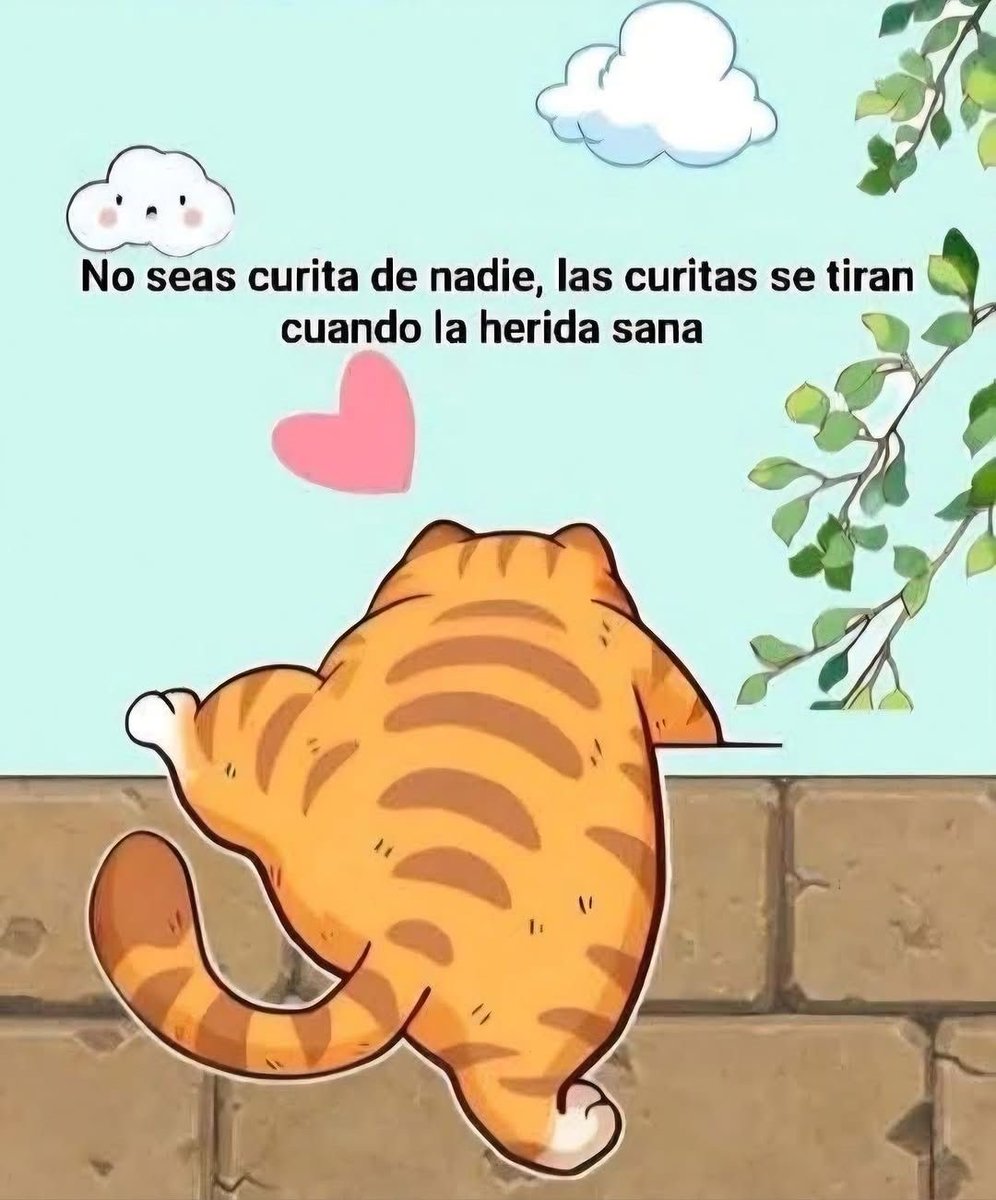FraseSimple's tweet photo. https://t.co/vpo2tg6jpn