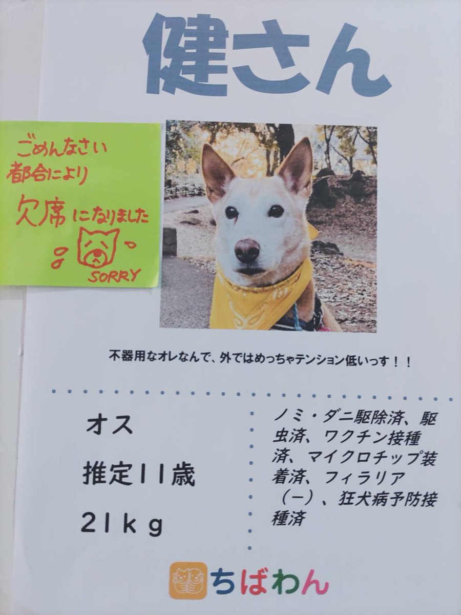 ちばわん(犬猫保護) tweet media