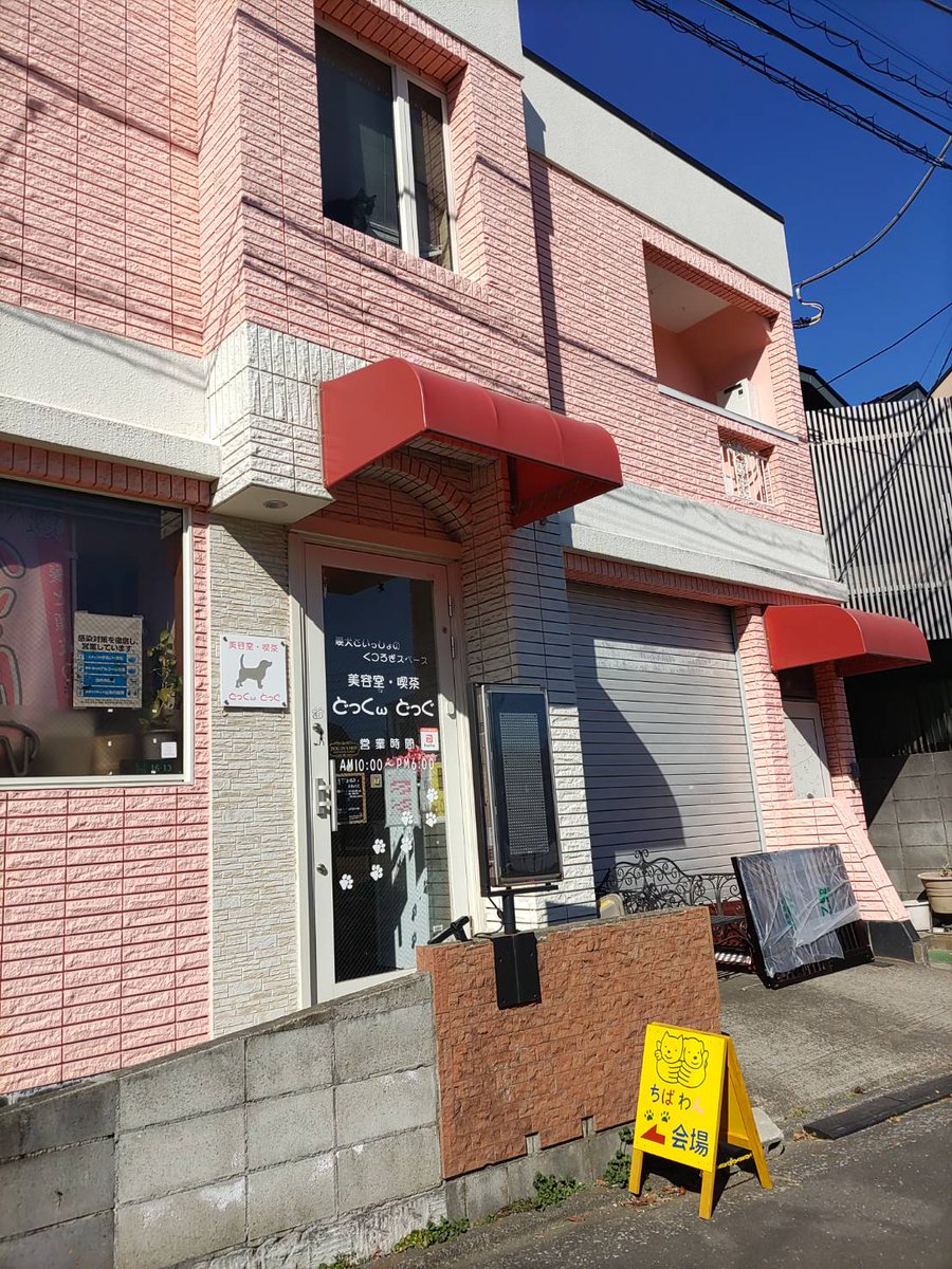 ちばわん(犬猫保護) tweet media