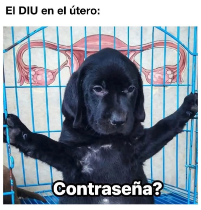 nacional_memes's tweet photo. 🐱 https://t.co/cI1rp12hoS