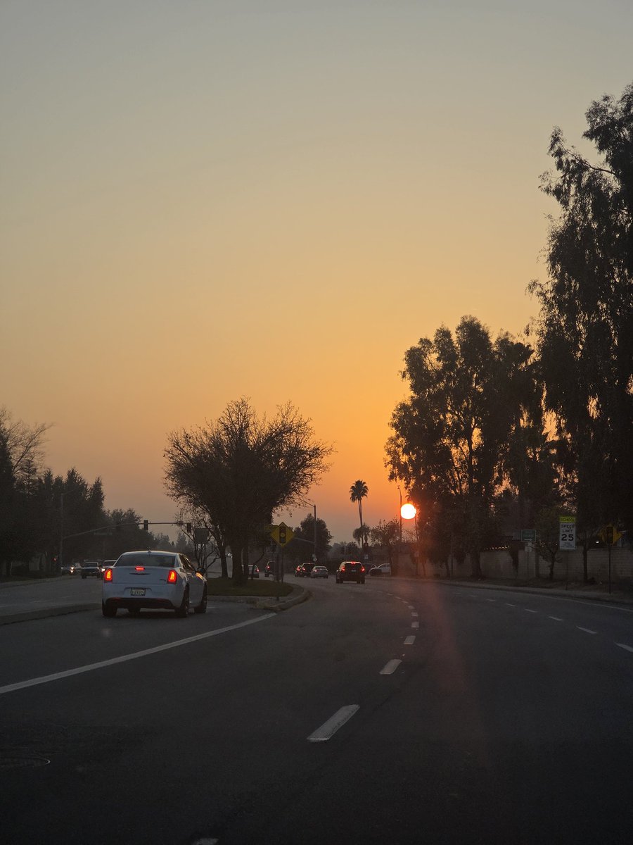 DeveloperVaz's tweet image. Nothing like a calm day just me and my babies, ending with a nice sunset