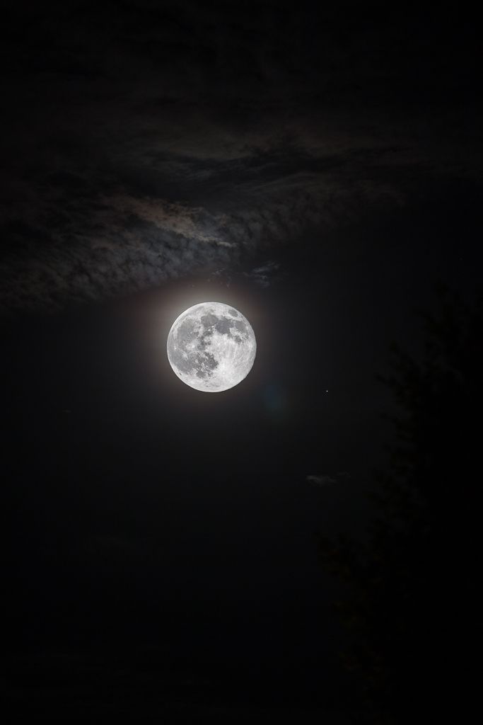 augusrodri3's tweet image. Muchas personas ven la misma Luna, pero hay noches en las 
que esa Luna no es para todos,
es solo para dos.