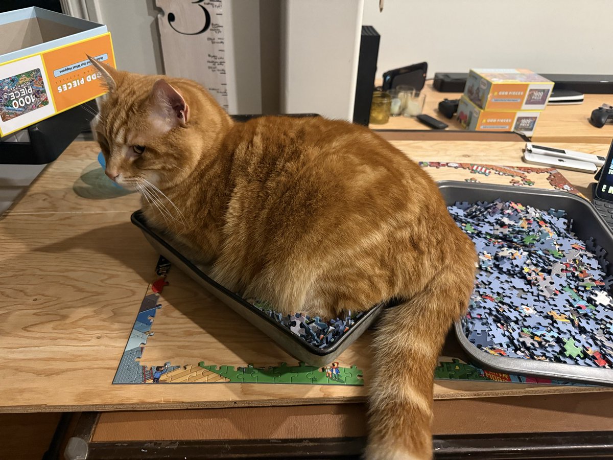 MRtroystanley's tweet photo. @oddpieces working on “Glitch”…but I think my cat is hoping this is “Astro Gastro 2.0”… https://t.co/wFSIcgyuZ1