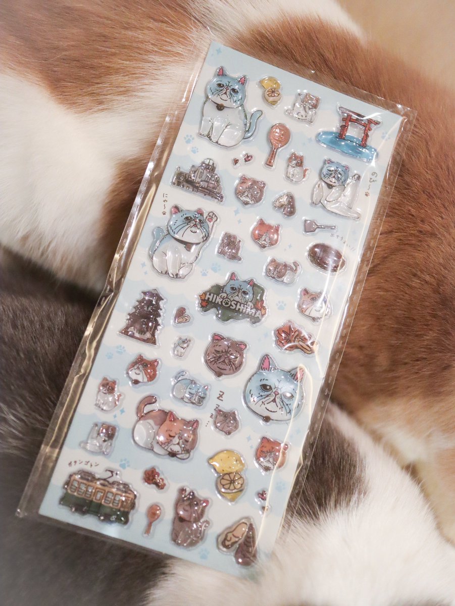今流行りのぷっくりシールをGET！
色味がポセイドンとプロメテウスみたい🤣

販売元:オイスターキャッツ
2/1〜2/22 の期間
広島のエキエ2F しま商店さんにて販売されるそうです☺️

 #PR  #エキゾチックショートヘア  #猫
