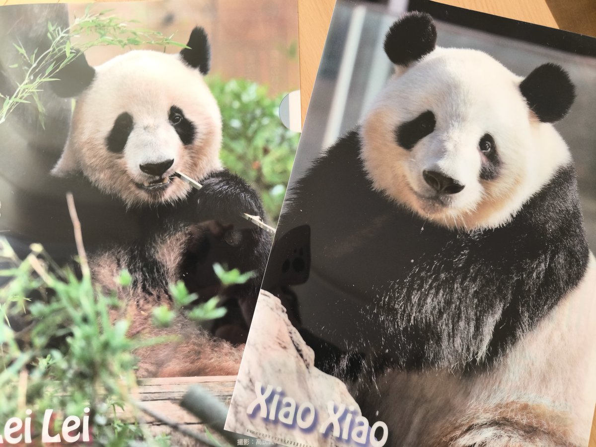 日刊パンダイ (@nikkan_pandai) / Posts / X