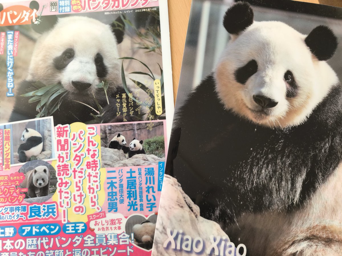 日刊パンダイ (@nikkan_pandai) / Posts / X