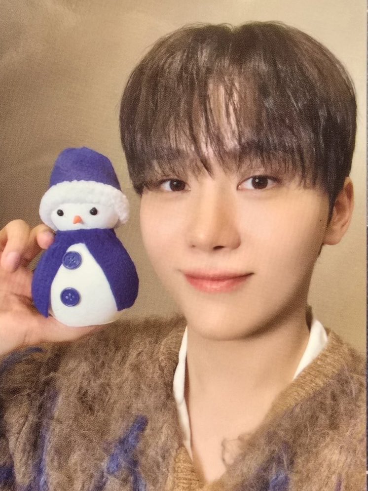 DxSの雪だるまさんが可愛くて、 トレカケースにしてみました