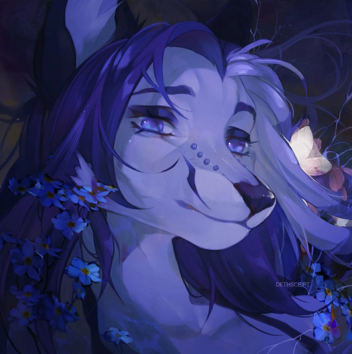 haruspeux's tweet photo. Calypso post https://t.co/IzLq5G4uwu
