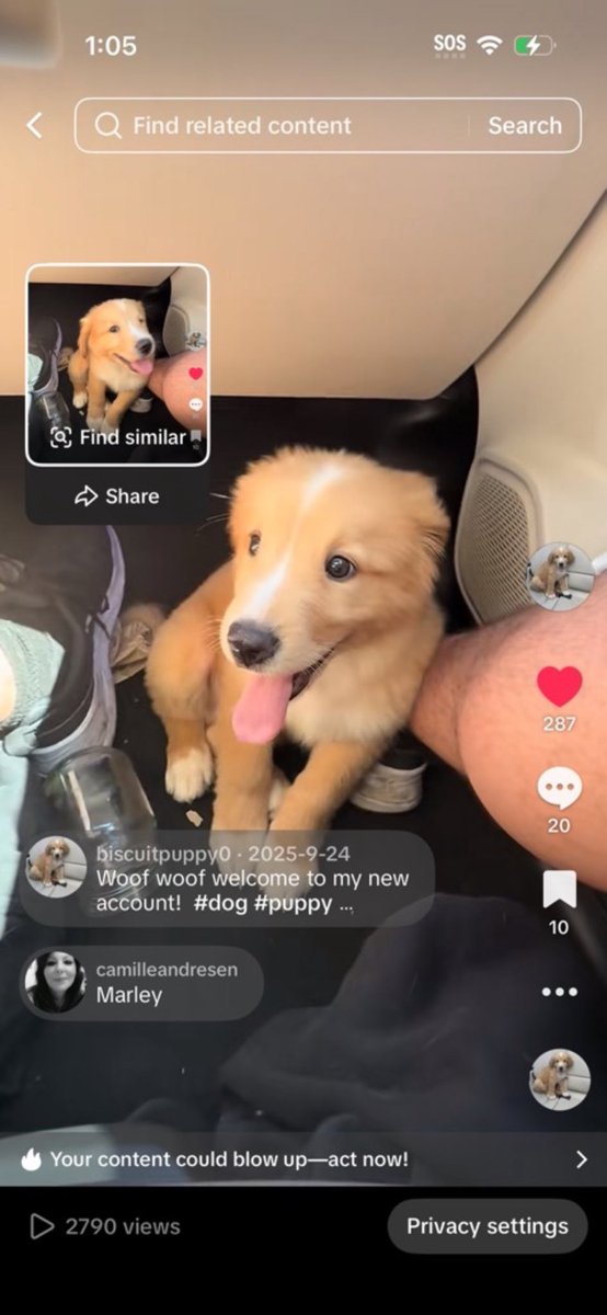 Global Crypto Union | GCU tweet media