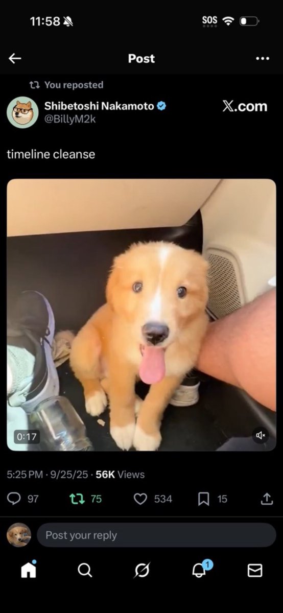 Global Crypto Union | GCU tweet media