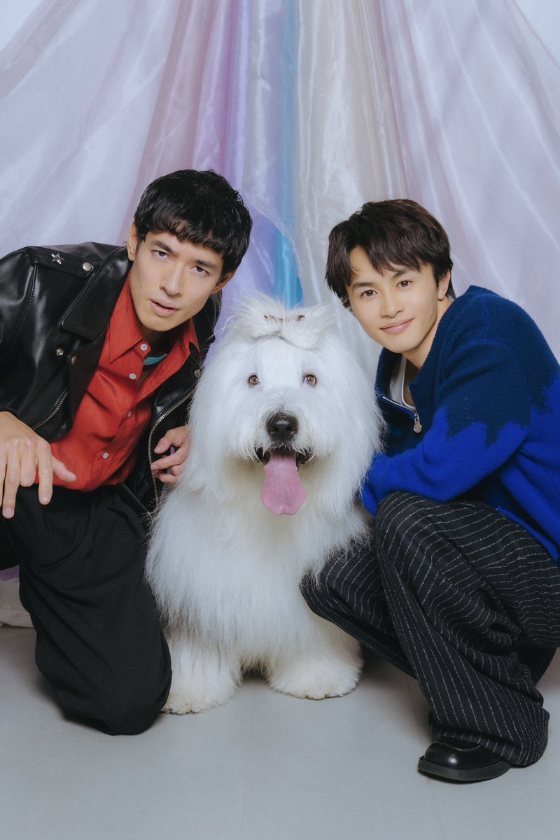 はっち🌱 (@hacchi) / Posts / X