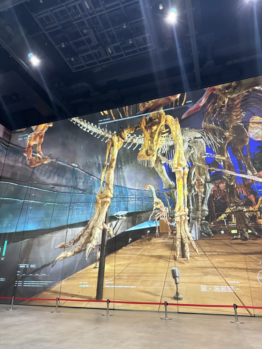 福井県立恐竜博物館 (@FukuiDinosaurs) / Posts / X