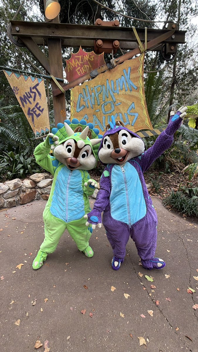 DWFJP's tweet photo. アニマルキングダムのダイノバッシュグリ今日が最後です🦖🐿️‼️ #ディズニーワールド https://t.co/C2BfIUU1km