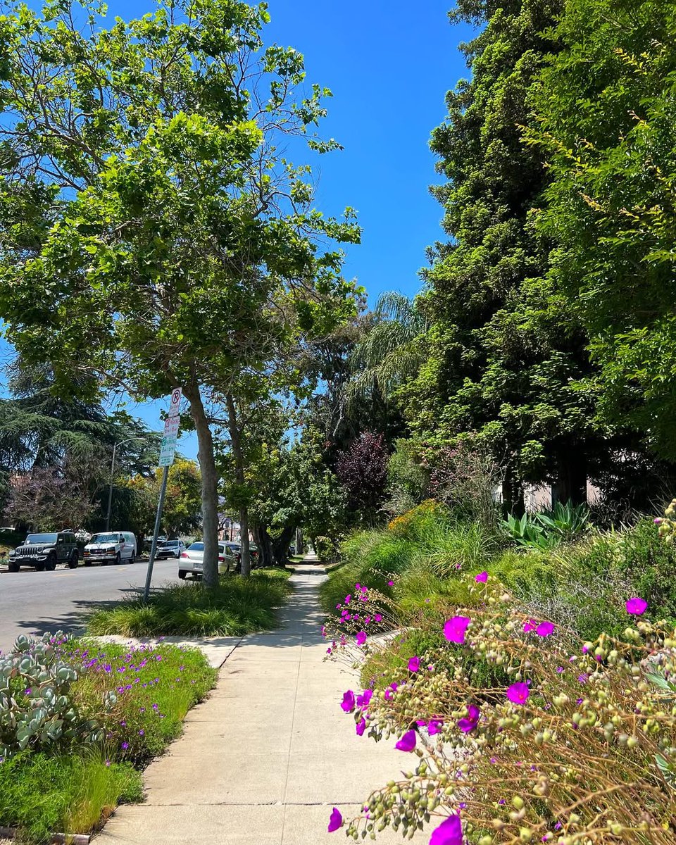 PerfectGirlb7's tweet image. Most people don't understand Los Angeles