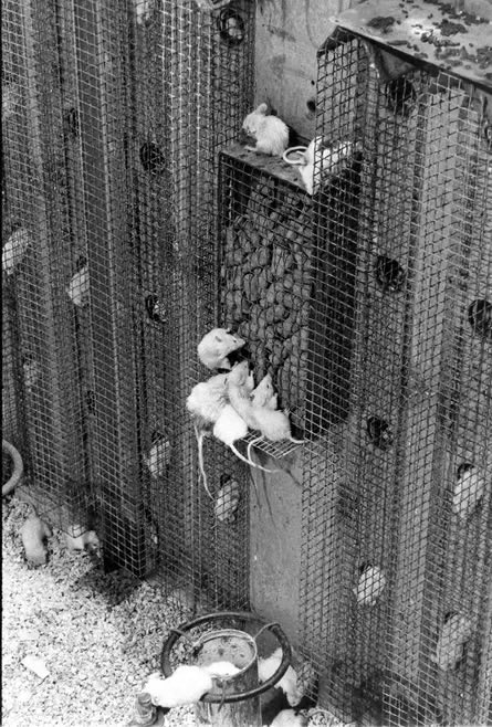 ØxLiaison tweet media