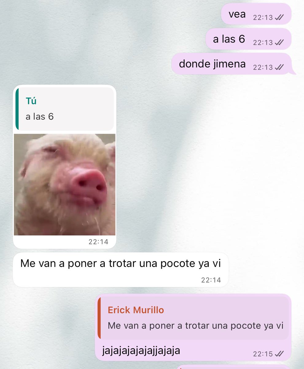 sola se predispone la gente 🤣🤣🤣🤣🤣