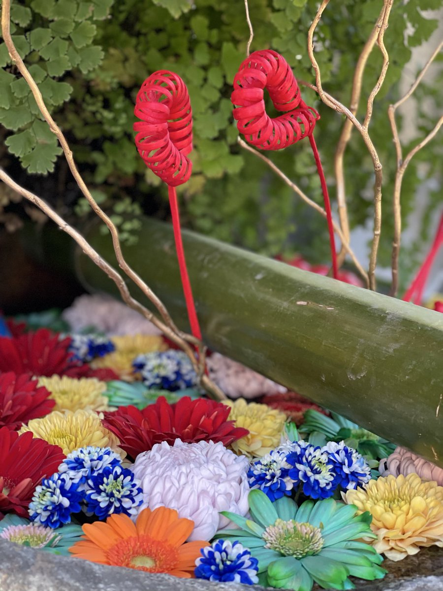 いつもご崇敬戴き篤くお礼申し上げます
如月の花手水です
3日午後3時より節分祭　豆まきを斎行致します
福まめ、カップ麺、チョコレート、飴他スナック菓子等を2回に分けてお撒き致します
皆様のご参拝を心よりお待ち申し上げております
#元三島神社　#花手水　#水城流
#節分祭　#豆まき