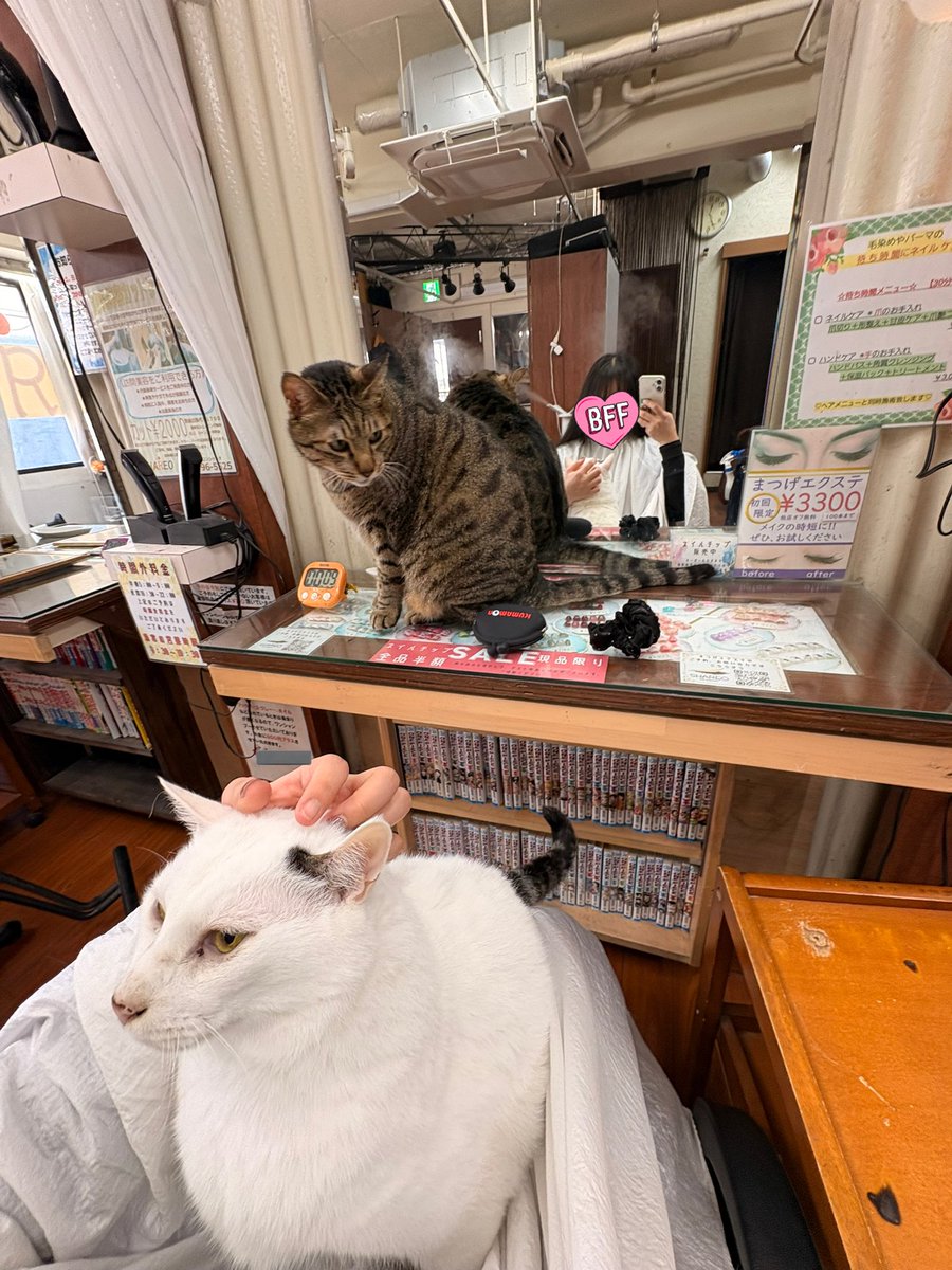 由凪（ﾕﾅ）🚗🚴‍♀️🏍 (@z32yuna) / Posts / X