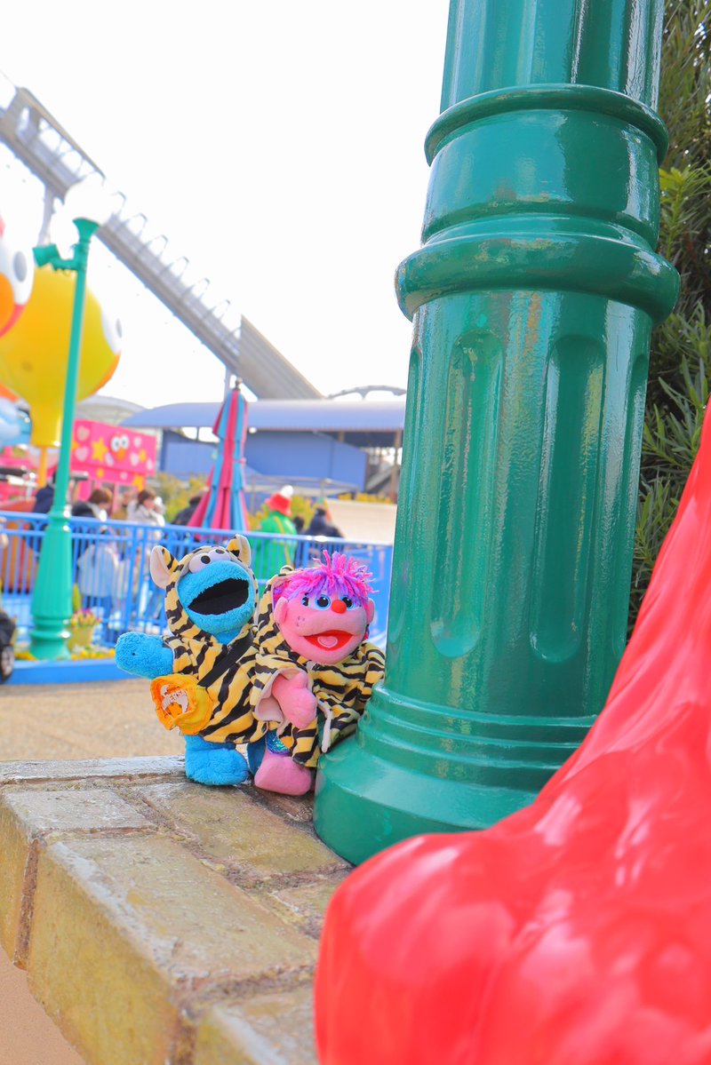 もう2月🤎🗓
てことはもうすぐかわい子ちゃんのお誕生日……❤️

#USJファン