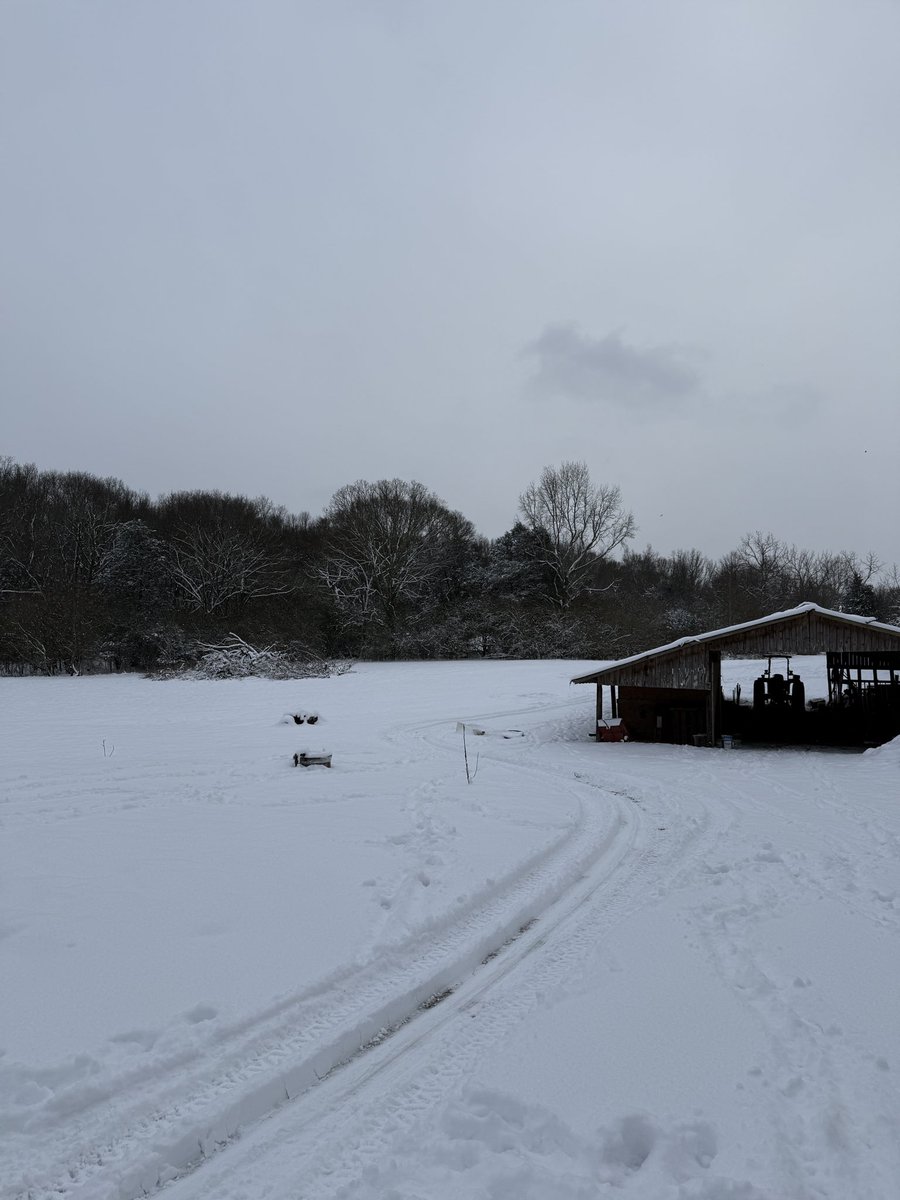 mex_357's tweet photo. @weathernerdga ~6” just south of Danielsville https://t.co/h56Pr3XYGQ