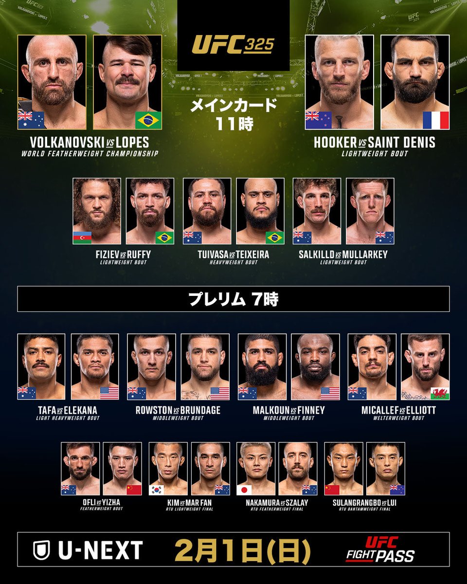 俺のメインはルフィ