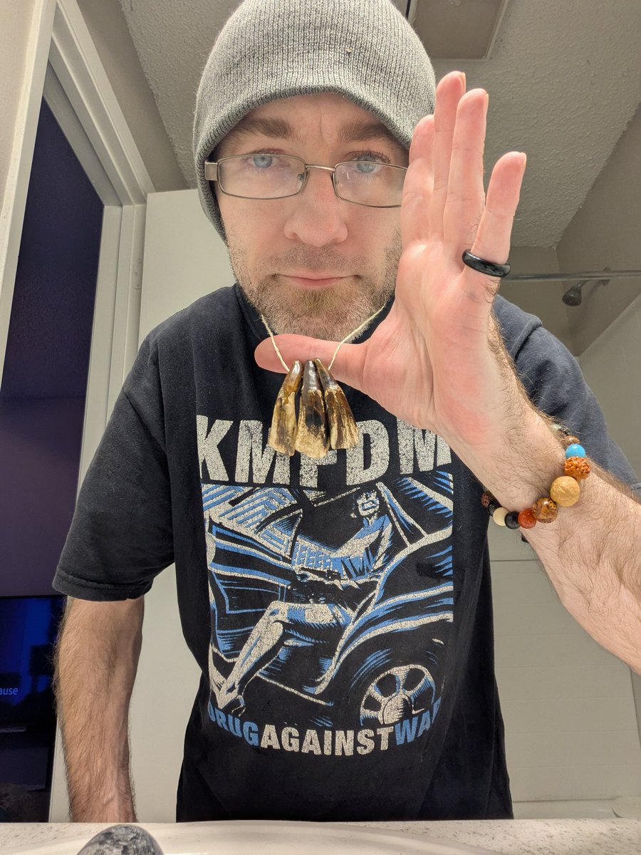 evildojo666 tweet picture