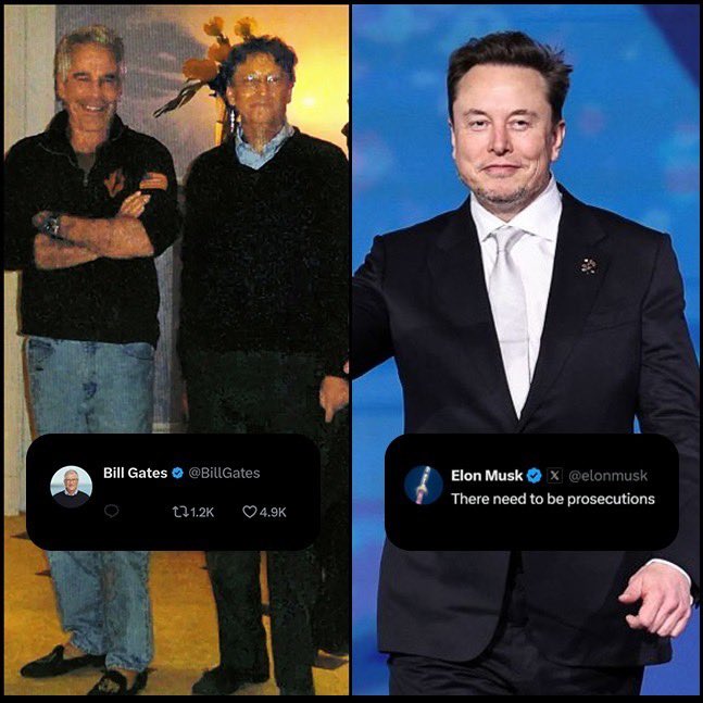 DogeDesigner tweet media