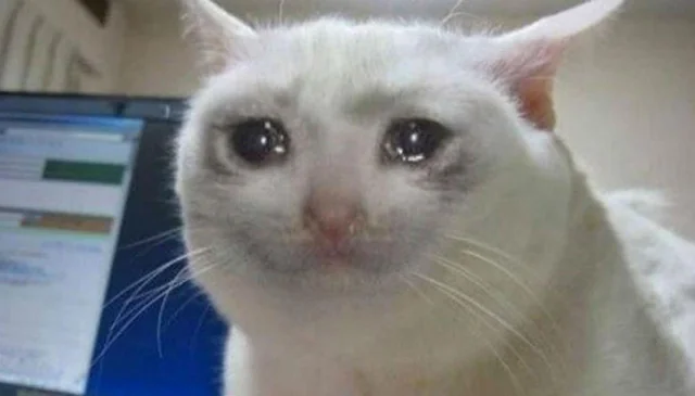 r0dn Bela Nova 💅🏻 tweet media