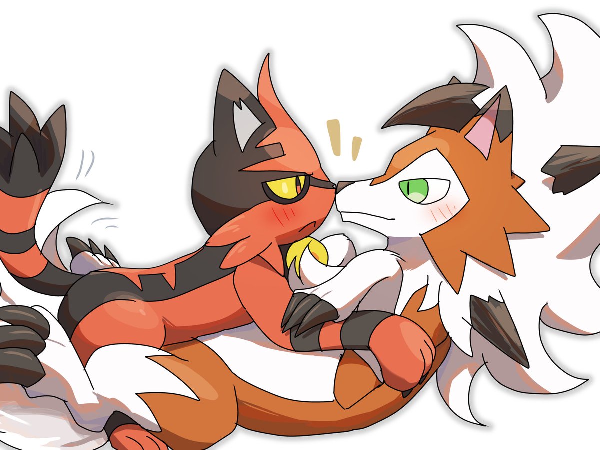 kimoeke855's tweet image. 仲良すぎルガニャヒ