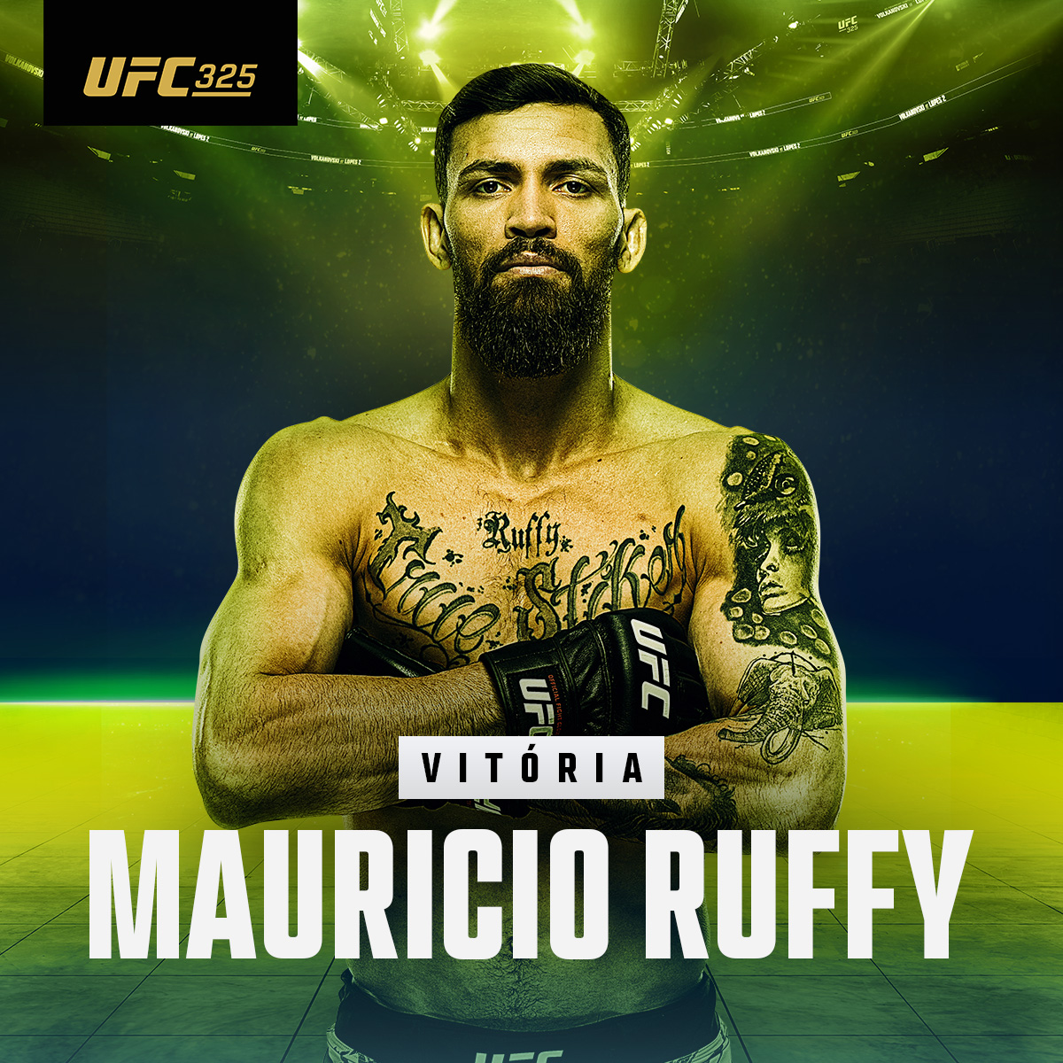 UFC Brasil tweet media