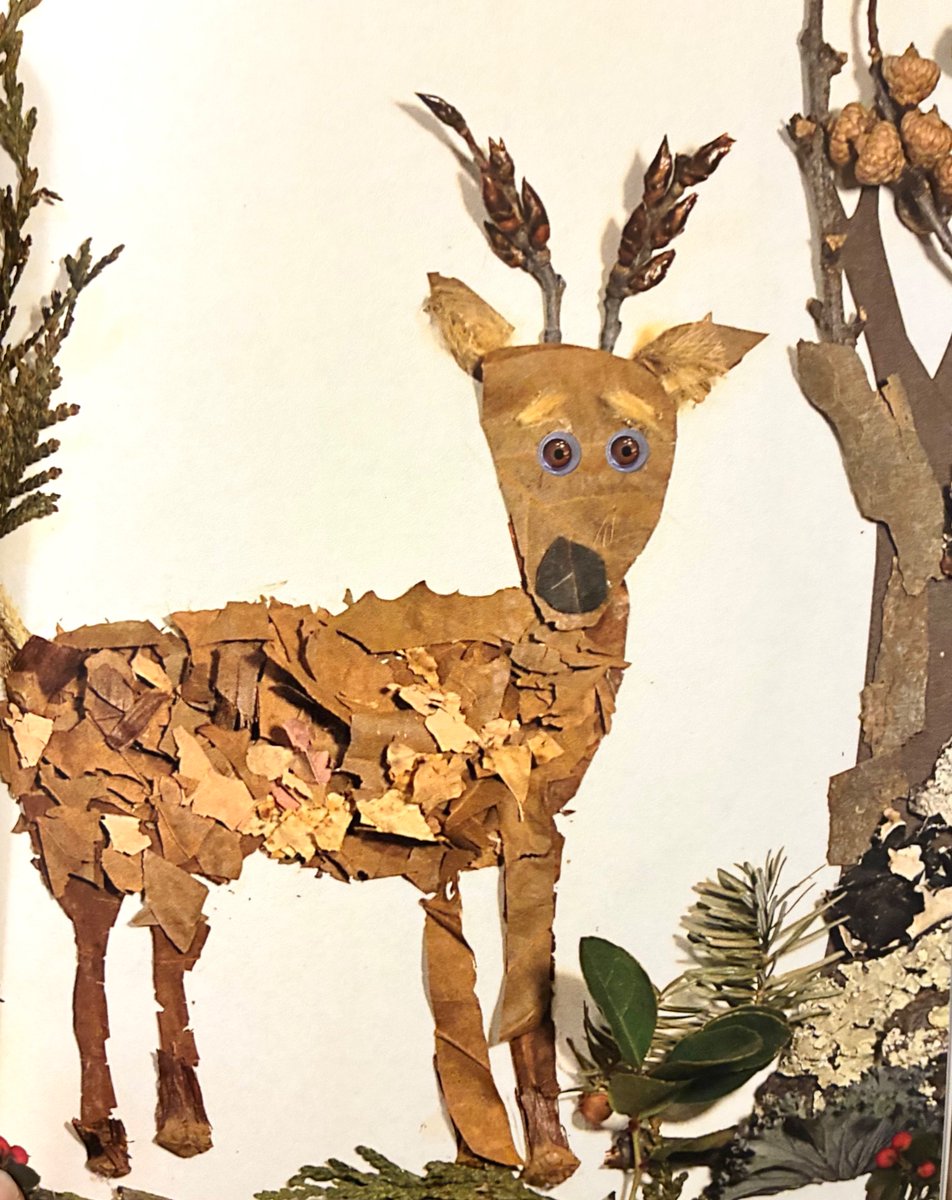 “Willow Wonders about Winter is as fantastic as the others. The illustrations are truly something special. Readers looking for stories about winter or changing seasons will definitely appreciate this lovely tale.”
amazon.com/Willow-Wonders…
#naturebooks  #childrensbooks #WINTER