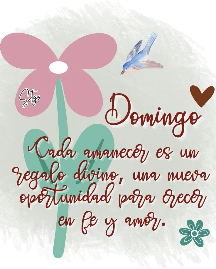 Feliz y bendecido Domingo...!!! 🙏🏻