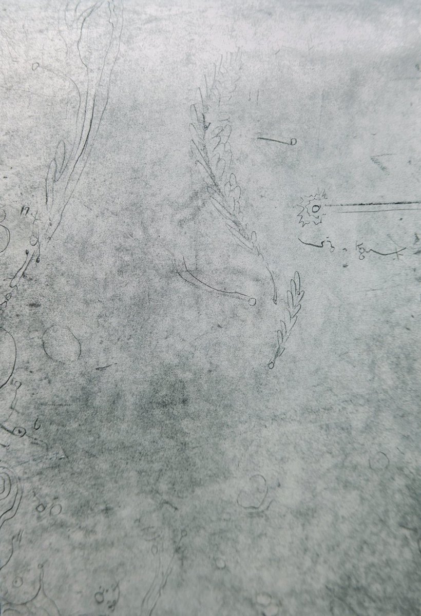 黄菊しーく tweet media