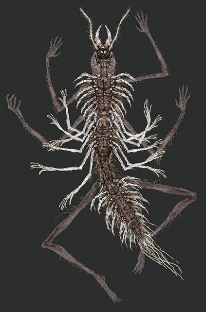 Fromsoft Hoarder tweet media