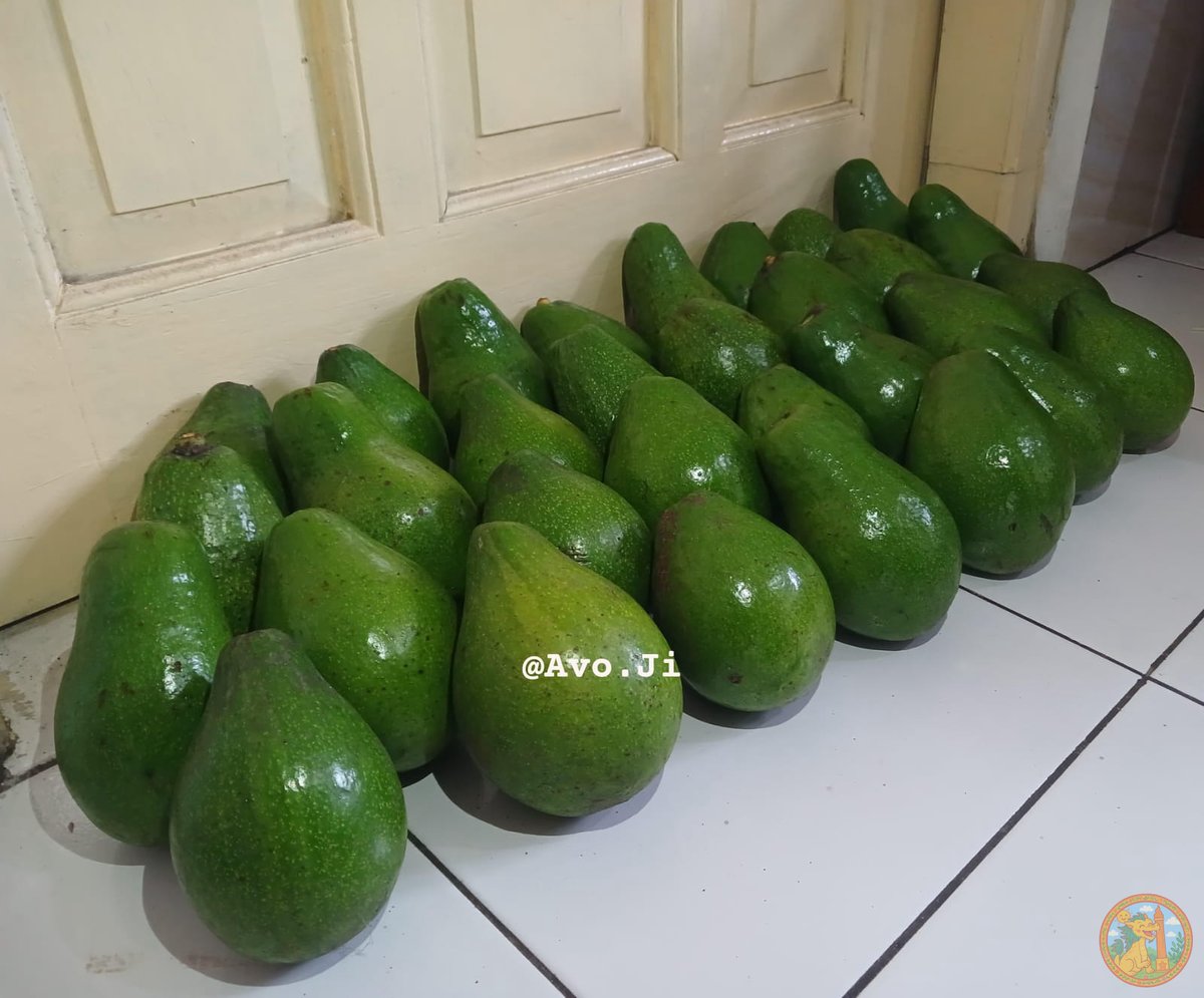 SEMARANG MENFESS tweet media