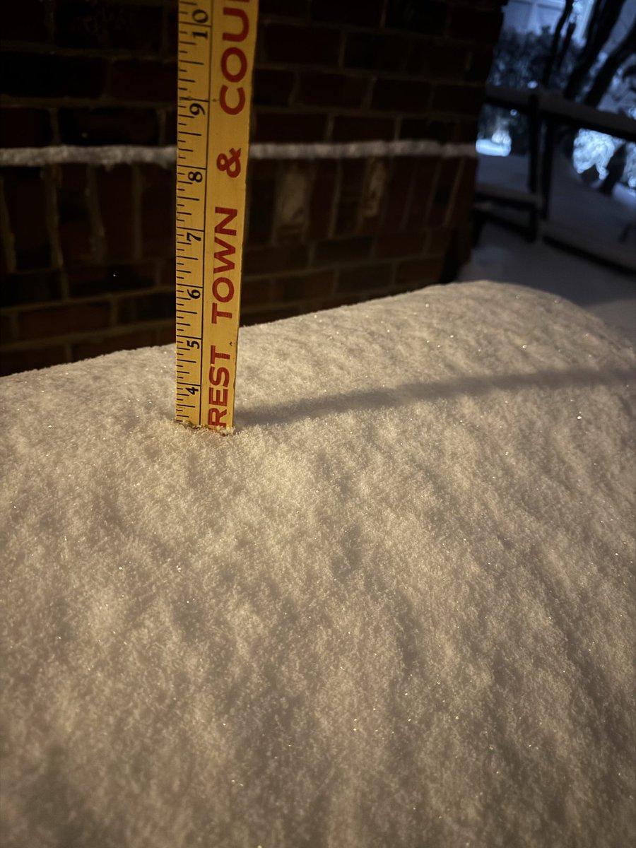 Cathy Del Buono tweet media