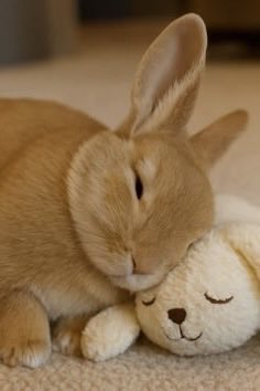 haniisbunny's tweet photo. https://t.co/TBAGn1fOnM